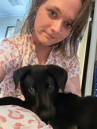 How to keep a dog safe and secure?