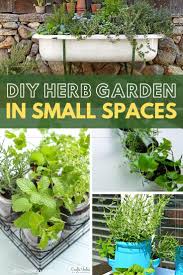 Herbs should be grown in soil that's at least 4 to 5 inches deep, says the national gardening association. Small Herb Garden Ideas Colleen Segina