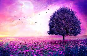 Explore cute background images on wallpapersafari | find more items about cute wallpaper images, cute the great collection of cute background images for desktop, laptop and mobiles. Beautiful Cute Wallpapers And Pictures Of Nature Purple Trees 1456x950 Download Hd Wallpaper Wallpapertip