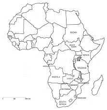 Image result for Drimia elata