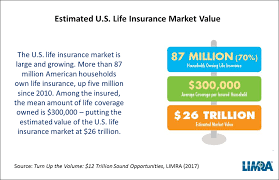 Maximizing the Potential of the Underinsured U.S. Life Insurance Market