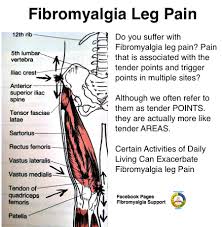Pin On Fibro Info Articles