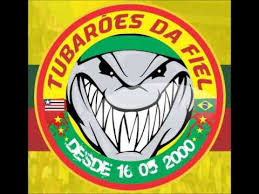 Mais um passo na luta pela classificação. Cd De 14 Anos Ttf 03 Sempre Sampaio Correa Tubaroes Da Fiel Youtube