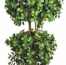 Maybe you would like to learn more about one of these? 5 5 Eucalyptus Double Ball Topiary Silk Tree Nearly Natural 5248 House Plants And Silk Plants