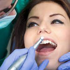 We did not find results for: Blue Cross Blue Shield Dentist