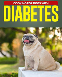 The diet of a diabetic dog must contain a high fiber content. What Human Food Can I Feed My Diabetic Dog Strydom Conglomerate