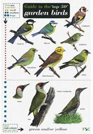 Bird Charts And Posters Bird Spot