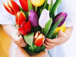 Echa un vistazo a nuestra selección de flores para mamá para ver las mejores piezas hechas a mano, únicas o personalizadas de nuestras tiendas. El Clericot Mas Fresco Es Con Flores De Bugambilia Sin Alcohol