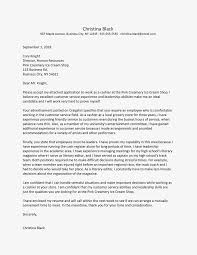From the time i was very young, my family would entertain friends and relatives. Summer Cashier Cover Letter And Resume Example