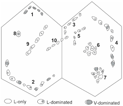 نتیجه جستجوی لغت [inclusions] در گوگل