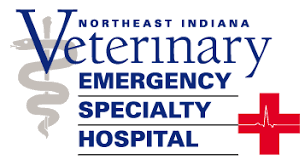 Specialty services in internal medicine. Emergency Care Center Hospital For Animals