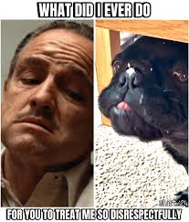 Good Morning. Firstly, thank you so much for being the best group