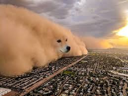 10 years on the island/bows to no one king kong vs godzilla meme template in the movie godzilla vs king kong, without spoiling anything, there's a scene where two female characters say to eachother, no, i spent 10 years on that island trying to study him. Dust Storm Dog Approaching The City Meme Templates House