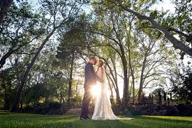 Check spelling or type a new query. Stephanie Dan Casey Green Weddings