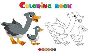 Goose coloring pages suitable for toddlers, preschool and kindergarten kids. 3 679 Gander Stock Photos And Images 123rf