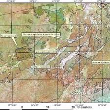 Image result for Dalbergia martinii