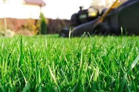 With an adequate policy, your business can financially cover the unexpected medical expenses, court costs, or settlements that could arise from an accident. Lawn Care Insurance Insurance For Lawn Mowing Businesses 337 Year