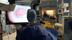 Alt Text is good for SEO