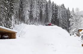 The 20 meter deep lake was created in the last ice age about 10,000 years ago. Titisee Neustadt Eisberg Im Sommer Baden Wurttemberg Stuttgarter Nachrichten