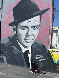 Happy 11th birthday to my dog Nate! Still fully active and with attitude,  and personality. He's been holding it down for over a decade and always  been there 👌— here's to more