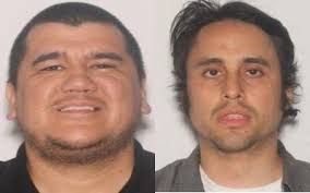 What is a purple alert? 8 things to know and who is