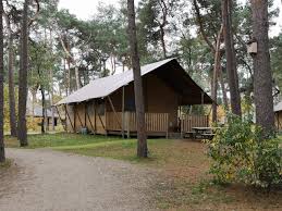 Safaripark beekse bergen kortingscodes voor oktober 2020 ✓ profiteer van 10% korting via trustdeals.nl ✓ nu 4 actieve codes. Review Safari Resort Beekse Bergen Ervaringen En Tips