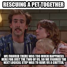 99 Relationship Memes That Are So Funny You May Actually Injure Yourself Laughing Relationship Memes Funny Relationship Memes Relationship