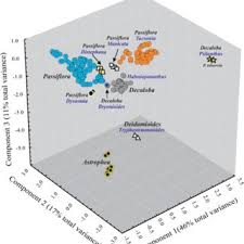 Pdf Morphological Characterization In The Genus Passiflora L An Approach To Understanding Its Complex Variability
