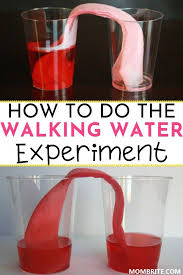 Rainbow Walking Water Experiment In 2020 Cool Science Experiments Science Experiments Kids Easy Science Experiments Kids
