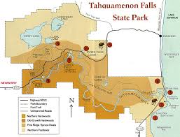 In the east, marvel at the thundering power of tahquamenon falls—one of the largest waterfalls east of the mississippi. Birding At Tahquamenon Falls Upper Peninsula