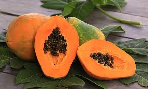 PAPAYA FRUIT | Chandigarh Ayurved & Panchakarma Centre