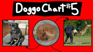 Doggo Chart Part 5