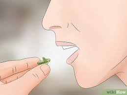 Iceberg lettuce in particular is often derided by its detractors as being watery or bland. How To Tell If Lettuce Has Gone Bad 12 Steps With Pictures