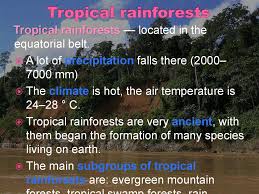 Tropical Forests Prezentaciya Onlajn