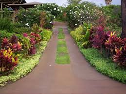 Pin By Megan Malone On Trees Flowers Landscaping Tips Garden Landscape Design Tropical Garden