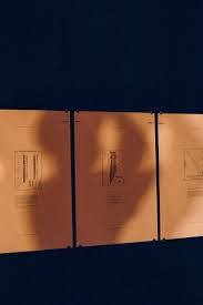 Diary — AMY BADGETT BECK