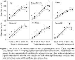 effects of the size of sown seed on growth and yield of