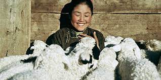 An exotic and beautiful tale the story of the weeping camel follows the adventures of a family of camel herders in mongolia's gobi desert as amazon.com. Film The Story Of The Weeping Camel Into Film