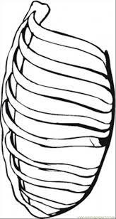 Some of the colouring page names are how to draw luke cage netflix luke cage series drawing, dibujos para colorear luke cage imprimible gratis para, luke cage by jman 3h color by mich974 on deviantart, birdcage coloring birdcage coloring for 2019, crafty individuals blog new stamps available now, marvel universe series 7 luke cage. Ribs Coloring Page For Kids Free Body Printable Coloring Pages Online For Kids Coloringpages101 Com Coloring Pages For Kids