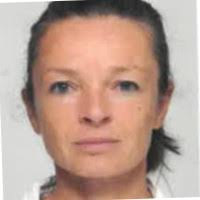 40+ "Bovis" profiles