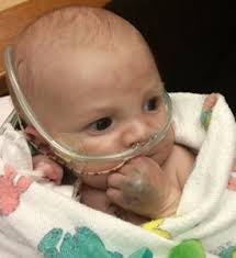 Liam WARD Obituary (2015)