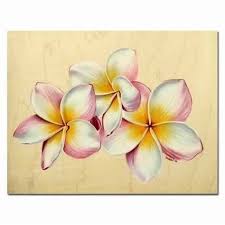 Pin By Meireanne Victoria On Tattoos Flower Drawing Plumeria Flower Tattoos Flower Art