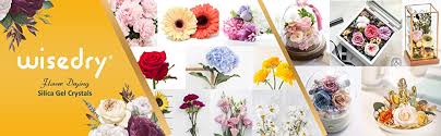 Maybe you would like to learn more about one of these? Wisedry Silica Gel Silica Gel Desiccant For Flower Drying Flowers 5 Pounds Fine Crystals Colour Indicator Reusable Amazon De Home Kitchen