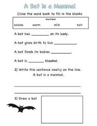 Bat Is A Mammal Worksheet Mammals Word Bank Mammal Unit Study