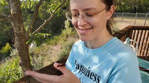 What is inside this wasp nest?