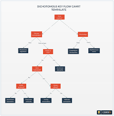 Bacteria Dichotomous Key Template A Dichotomous Key Is A