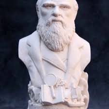 Some of the more common fossils we have at the Bone Room! Fossil fish from  Wyoming! Check them out