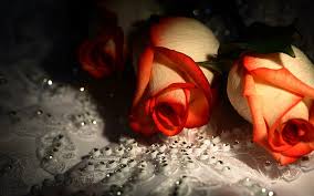 ❤ get the best cute romantic wallpapers on wallpaperset. Hd Wallpaper Rhinestones Roses Lovely Orange Romantic Beautiful Flowers Wallpaper Flare