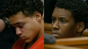 Teen accused of killing, burning West Bloomfield woman found guilty of  murder