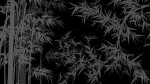 Free 3840x2160 resolution black solid color background, view and download the below background for free. Collection Top 31 Bamboo Black Background Hd Download